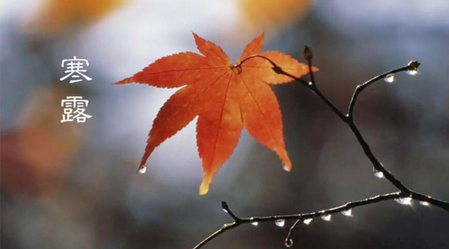 寒露時(shí)節(jié)！金環(huán)電器提醒大家要注意的事項(xiàng)