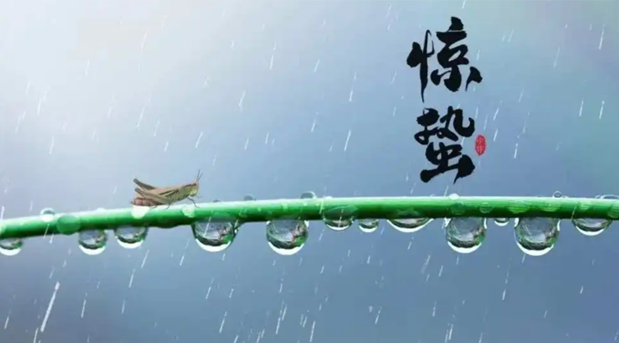 驚蟄時(shí)節(jié)！金環(huán)電器提醒大家干衣要注意這些