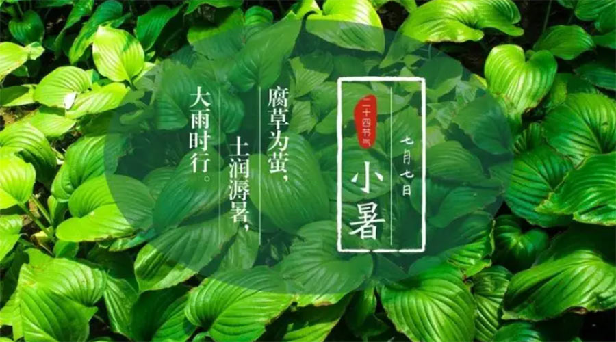 小暑時節(jié)來到！金環(huán)電器提醒大家要注意的事項