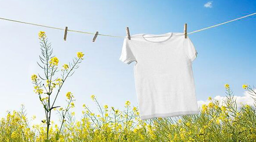 滾筒干衣機(jī)紫外線燈除菌對(duì)比太陽(yáng)光除菌哪個(gè)效果更好