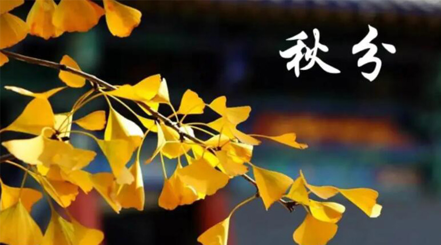 秋分時節(jié)！金環(huán)電器提醒大家要注意的事項